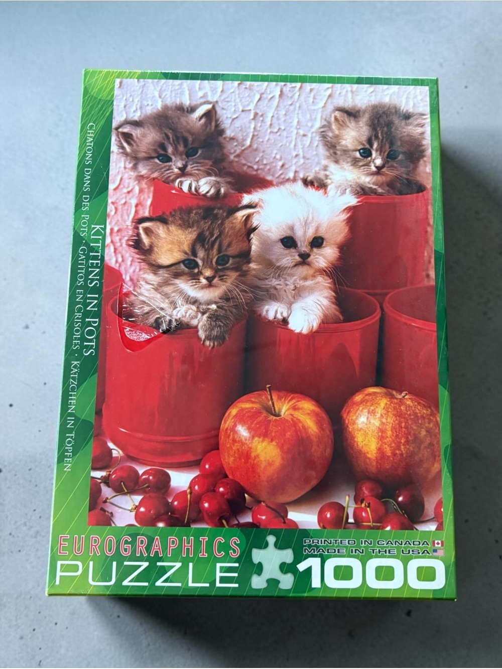 EUROGRAPHICS, KITTENS IN POTS, 1000-PIECE CAT PUZZLE, NEW SEALED